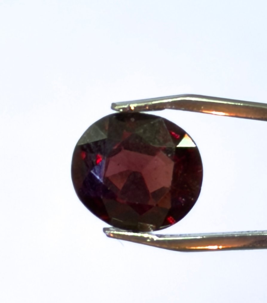1 pcs Röd Spinell - 2.60 ct - Bellerophon Gemlab - Spinel Vivid Red 2.64CT #3.2