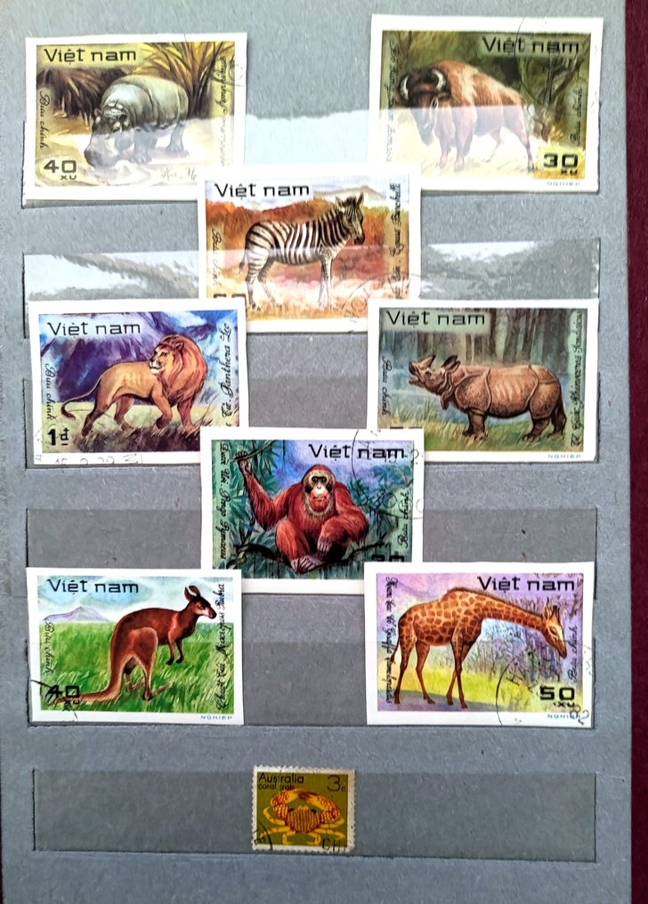 其他 1965/1986 - 动物群 #2.1