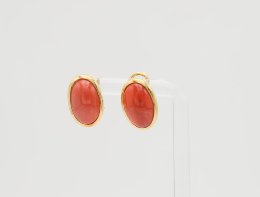 Σκουλαρίκια - 18 καράτια Κίτρινο χρυσό Κοράλλι #1.0
