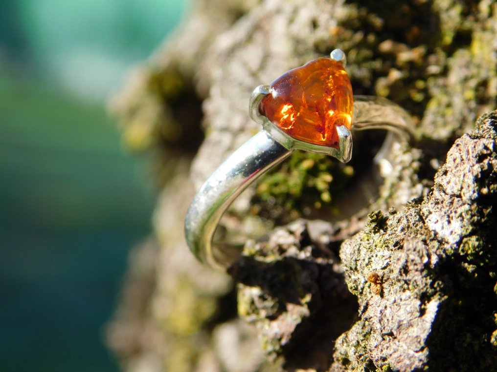 Anello in argento 925 con cuore di Ambra baltica top quality- 2.7 g - (1) #2.1