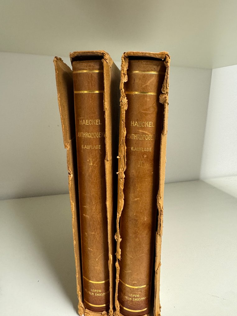 Ernst Haeckel - Anthropogenie oder Entwickelungsgeschichte des Menschen - 1910 #1.0