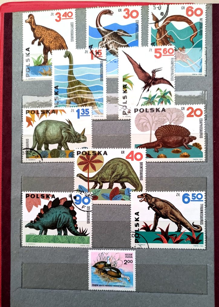 其他 1965/1986 - 动物群 #1.0