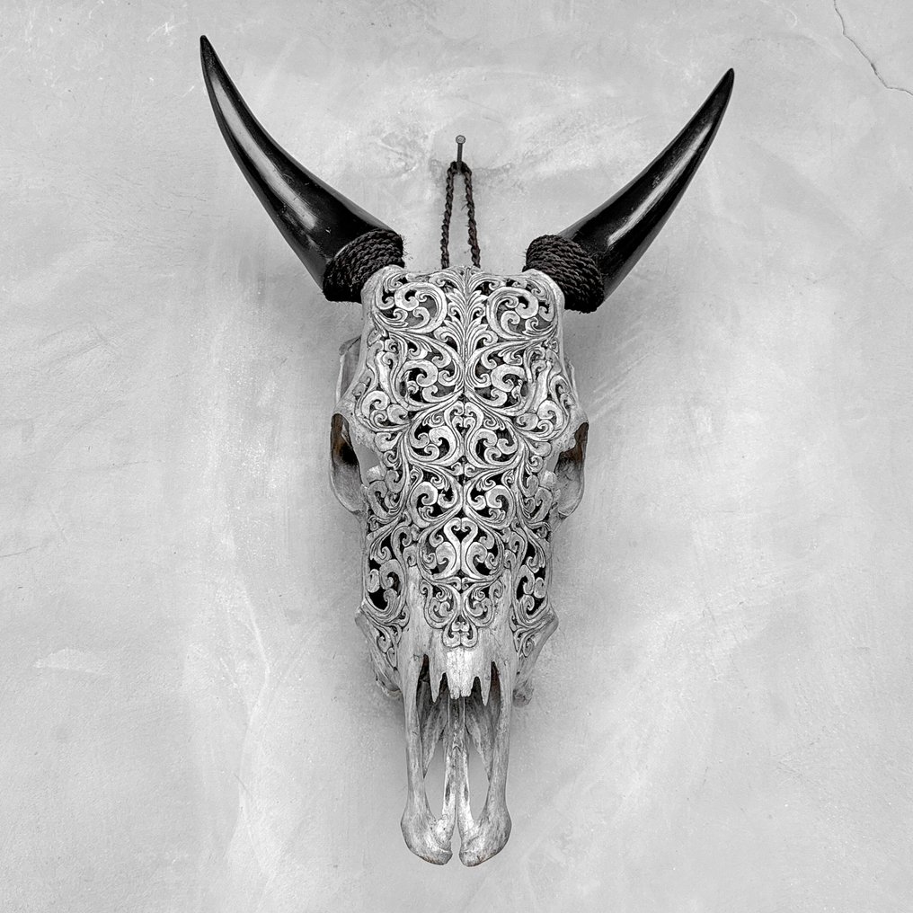 Fără preț de rezervă - Uimitor, gri, lucrat manual - Craniu de vacă sculptat - Motif tradițional Craniu sculptat - Bos Taurus - 57 cm - 39 cm - 16 cm- Speciile Non-CITES - (1) #2.1