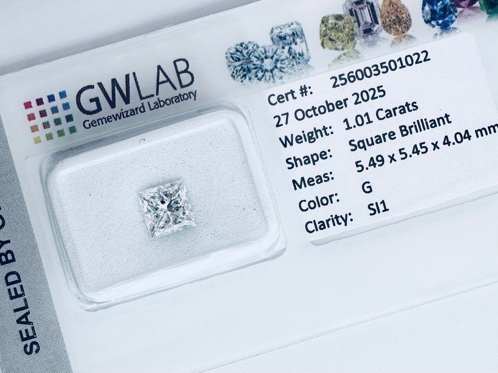 1 pcs 钻石  (天然)  - 1.01 ct - 方形 - G - SI1 微内含一级 - Gemewizard宝石实验室（GWLab） #1.0