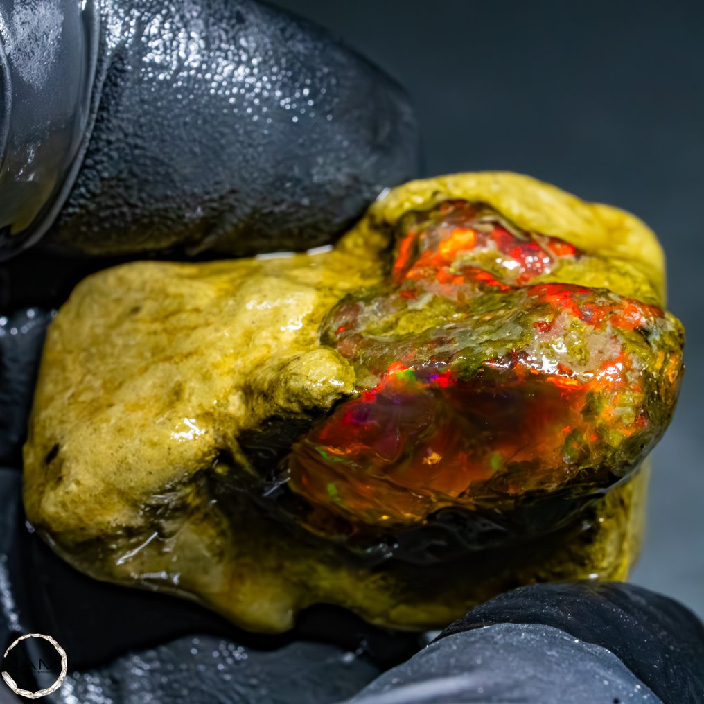 Kristallopal i Matrix fra Etiopien – Drageøje 160,5 karat- 32.1 g #2.1