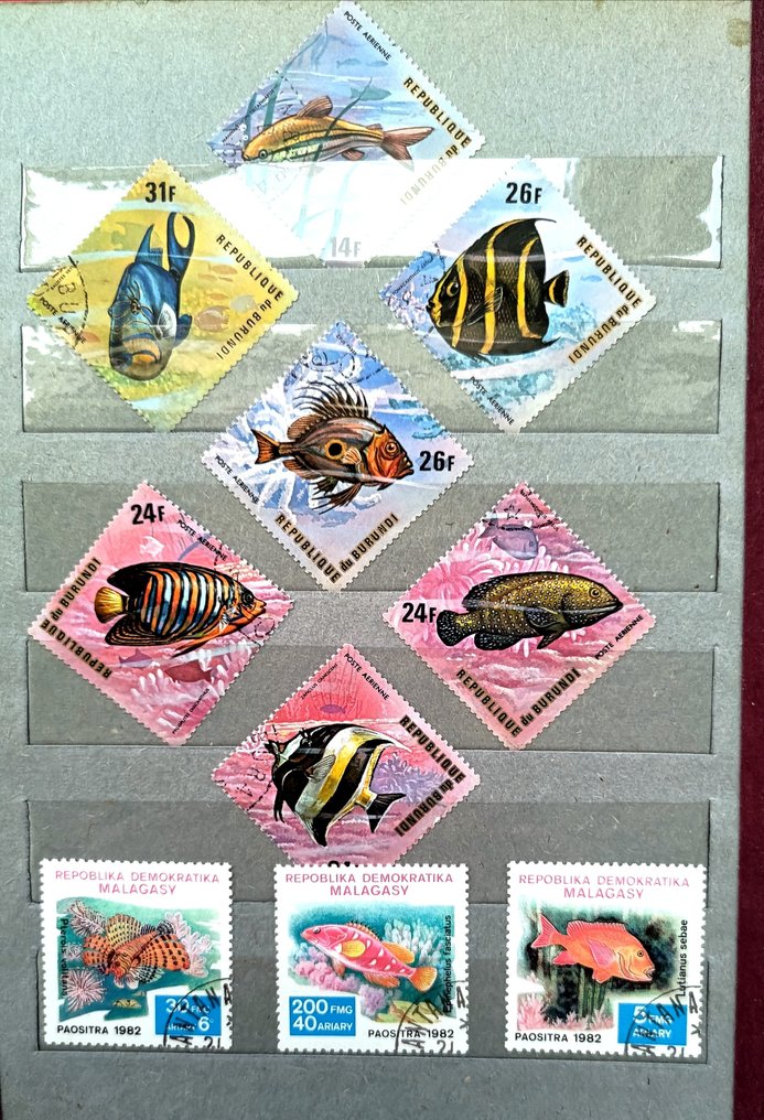 其他 1965/1986 - 动物群 #4.3