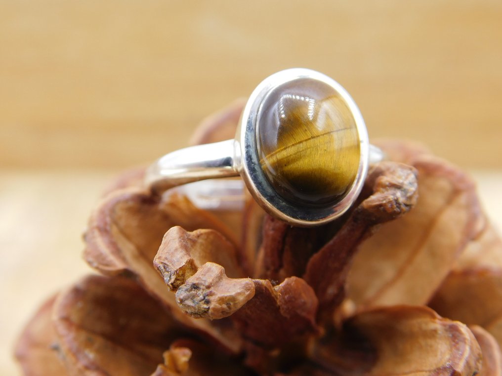 Anillo en plata 925 con ojo de tigre de máxima calidad.- 3.6 g - (1) #1.0
