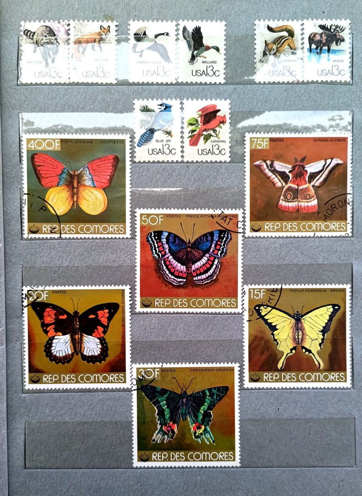 其他 1965/1986 - 动物群 #1.0