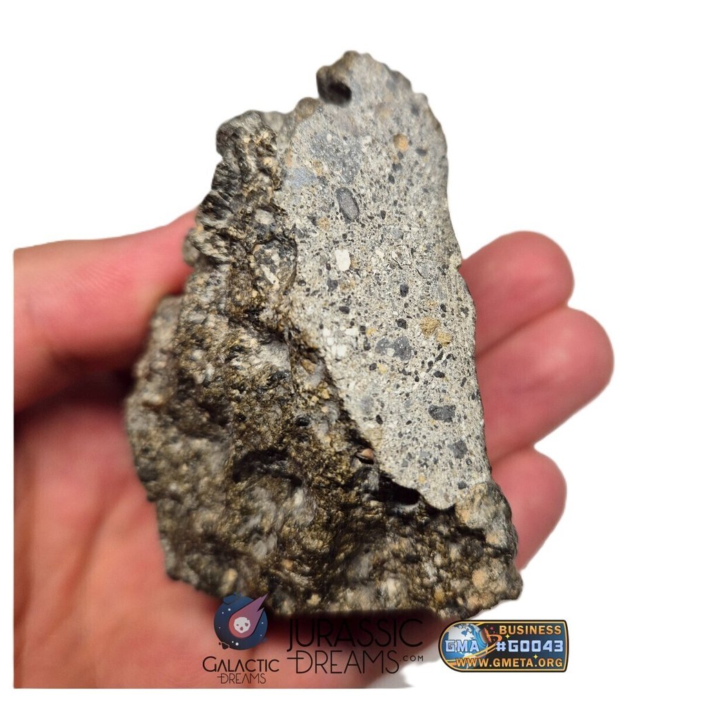 NWA 17660 HED Achondrite - Eucrite Polymict - 226 g #1.0