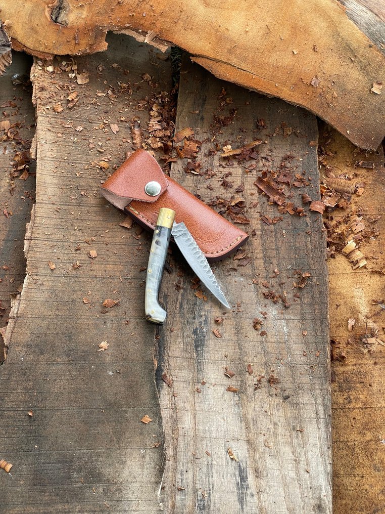 Laguiole Bougna - 廚刀 -  高级艺术新风格Pattada厨房刀，适用于家庭或专业用途，精品制造 - 锻造钢公羊角 - 義大利 - Patada厨房刀 #4.3