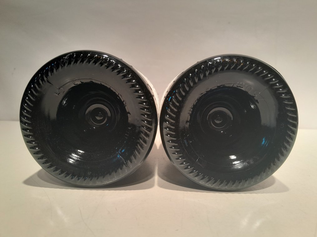 2023 Alvaro Palacios, Quiñon de Valdelareina - 里奥哈 - 2 Bottles (0.75L) #4.3