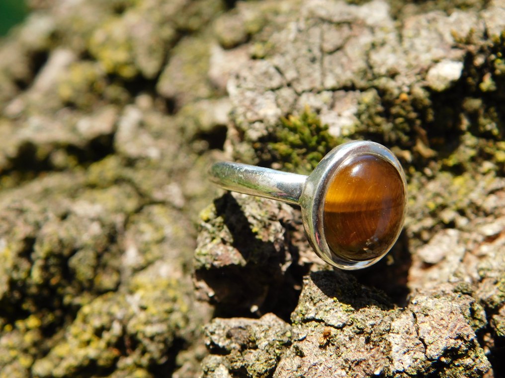 Anillo en plata 925 con ojo de tigre de máxima calidad.- 3.6 g - (1) #3.2