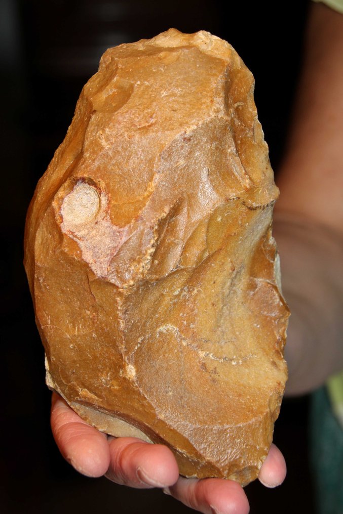 Paleolithic Flint Biface - 170 mm  (No Reserve Price) #1.0