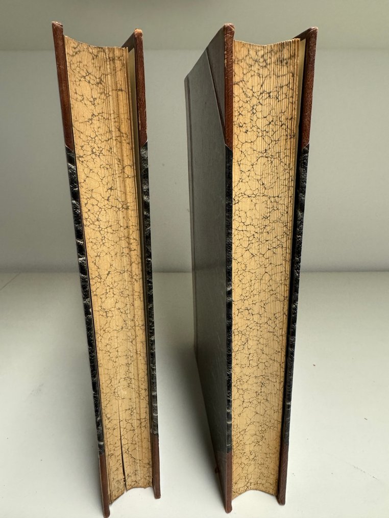 Ernst Haeckel - Anthropogenie oder Entwickelungsgeschichte des Menschen - 1910 #3.2