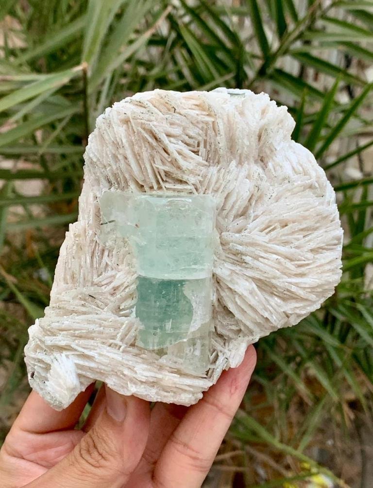 Cristal de acvamarin afgan cu albite Colecție de Minerale - Înălțime: 105 mm - Lățime: 91 mm- 400 g - (1) #4.3