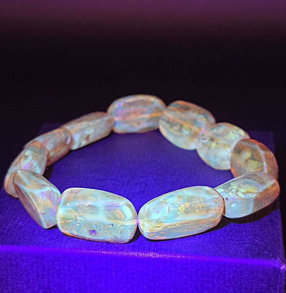 Λουράκι από γυαλισμένο κεχριμπάρι – Χρυσά Βαλτικά απολιθώματα, Εκλεπτυσμένο οβάλ σχήμα. - Κεχριμπάρι  (χωρίς τιμή ασφαλείας) #3.2