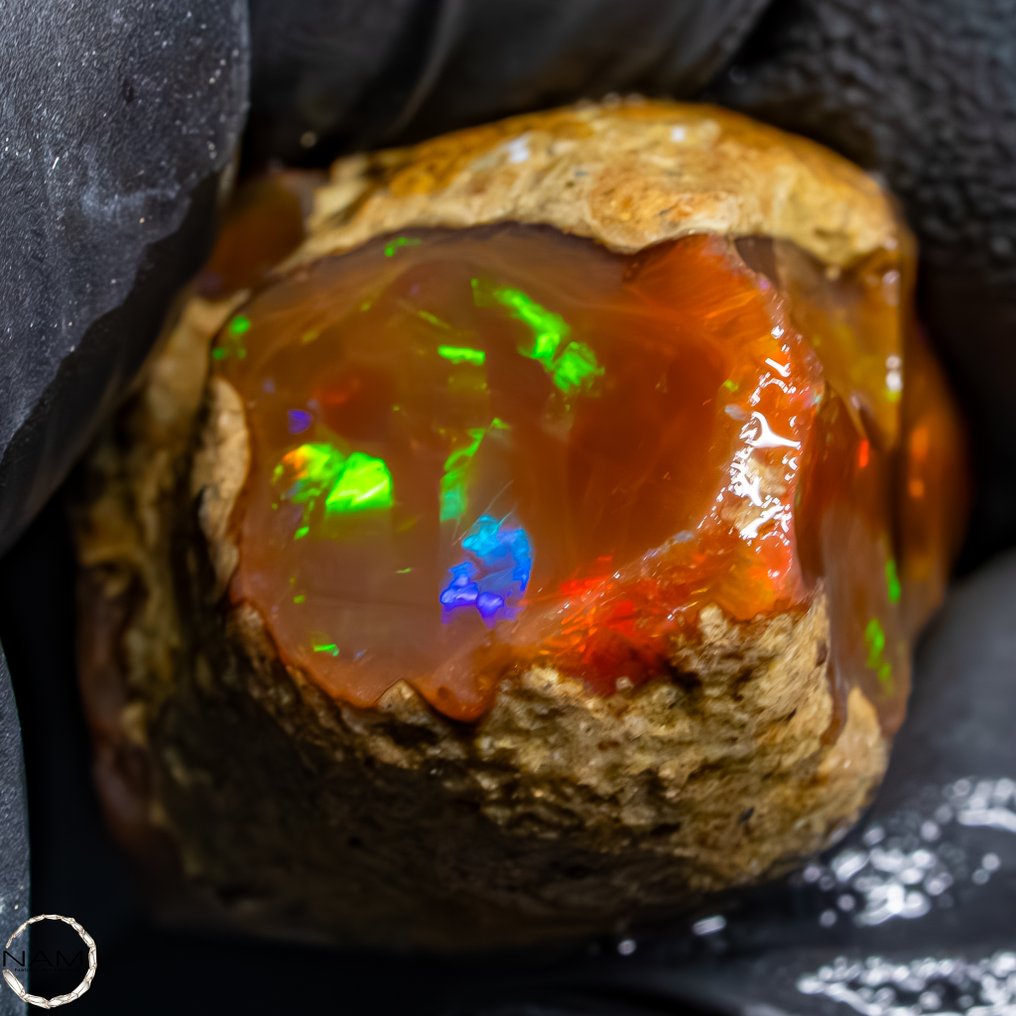 Fire captured in stone – The luminous crystal opal from Ethiopia 65.85 carats- 13.17 g #2.1