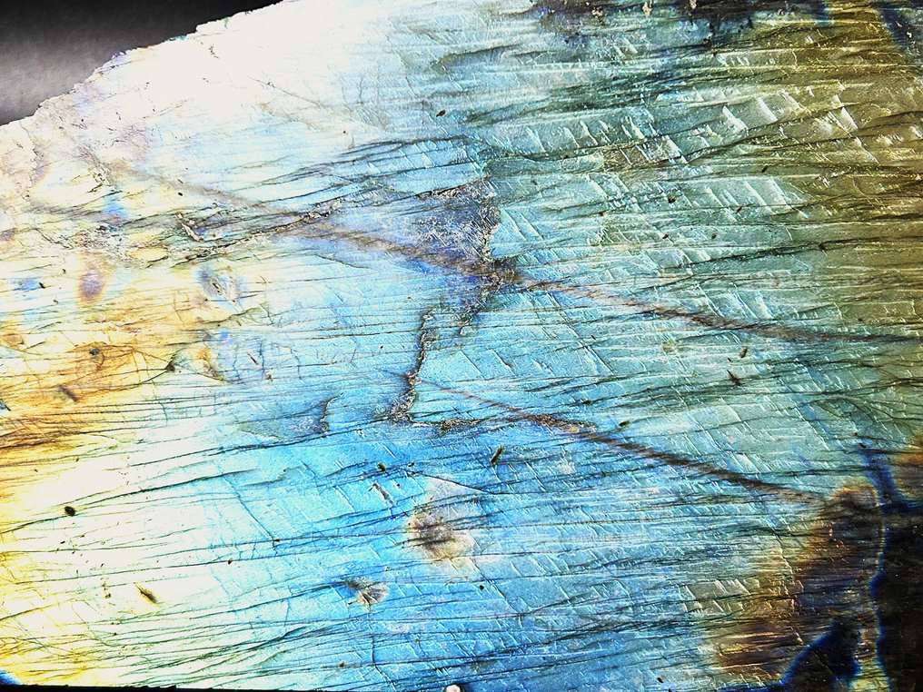 Flashy Labradorite Slab Blue, Green & Golden Fire Crystal - Height: 290 mm - Width: 145 mm- 1244 g - (1) #2.1