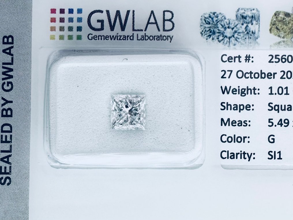 1 pcs 钻石  (天然)  - 1.01 ct - 方形 - G - SI1 微内含一级 - Gemewizard宝石实验室（GWLab） #1.0
