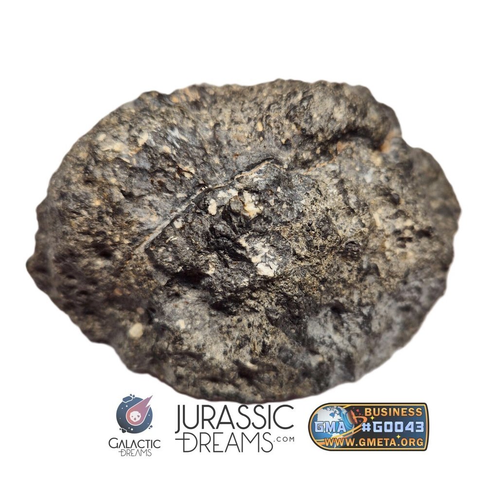 NWA 17660 欧晶质多晶HED无包体陨石半块石,重154克 HED陨石-欧克赖特多晶 - 154 g #4.3