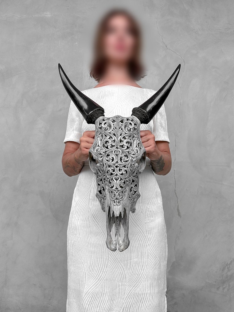Fără preț de rezervă - Uimitor, gri, lucrat manual - Craniu de vacă sculptat - Motif tradițional Craniu sculptat - Bos Taurus - 57 cm - 39 cm - 16 cm- Speciile Non-CITES - (1) #3.2