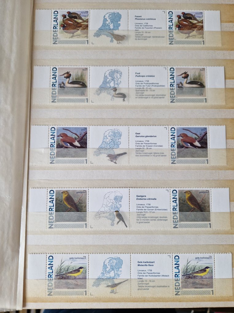 荷兰  - 荷兰鸟类完整系列，成对排列，中间有间隔。 #2.1