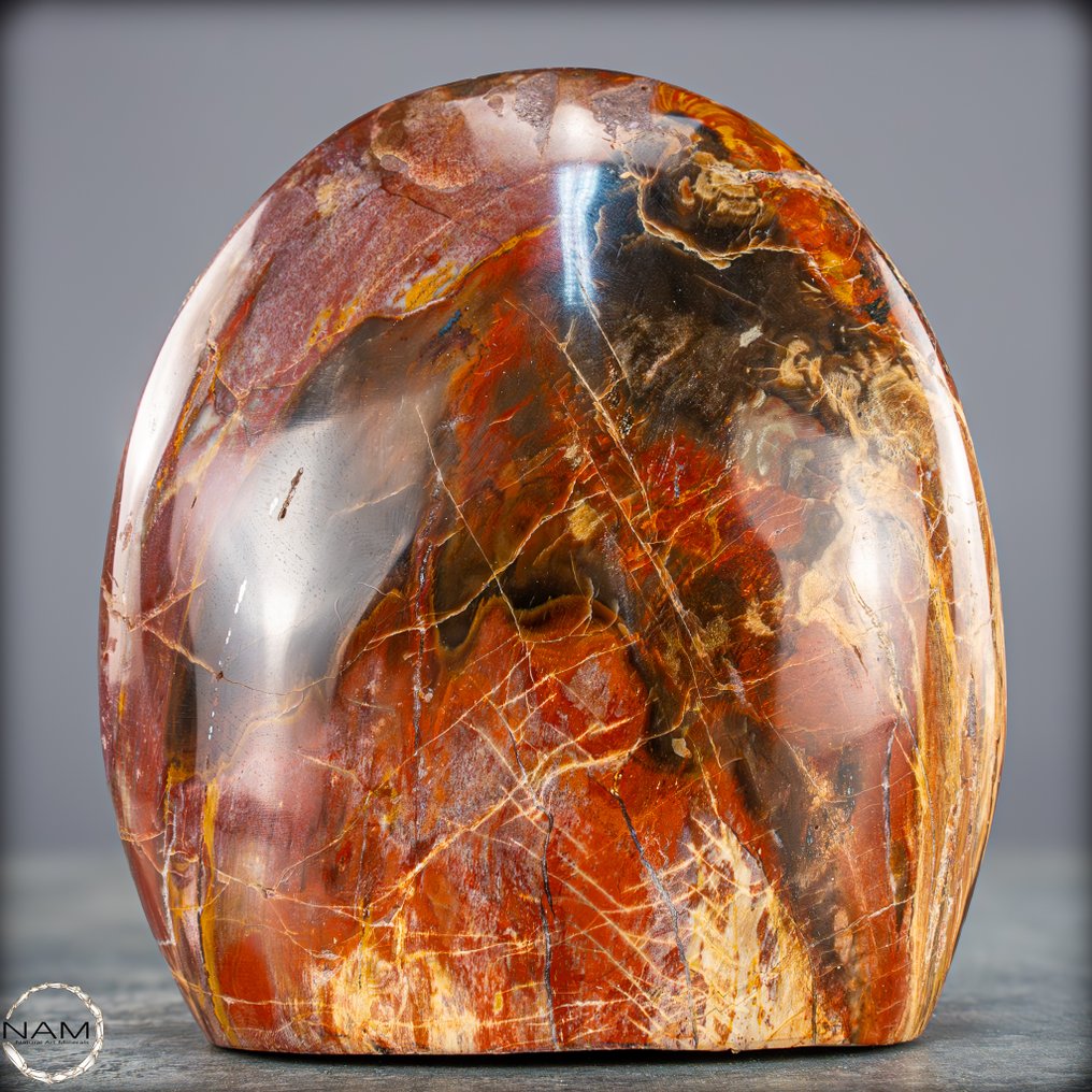 Natural Freeform av förstenad trä- 958.14 g #1.0