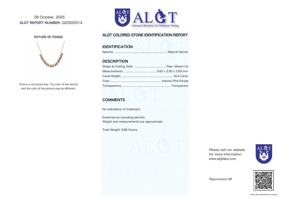Fără preț de rezervă - Colier Argint - Garnet - Certificat #2.1
