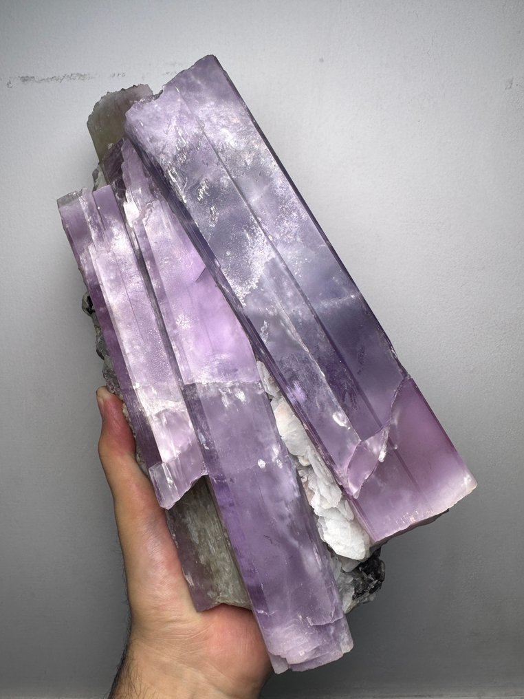 Massive Lavender Kunzite Crystal Cluster – Natural Terminations, High Transparency & Strong Color Crystal cluster - Height: 250 mm - Width: 145 mm- 4904 g - (1) #3.2
