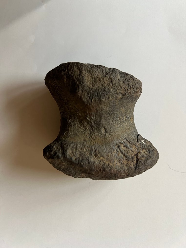 剑龙的指骨 - 骨骼化石 - Stegosaurus - 6.5 cm - 7 cm #1.0