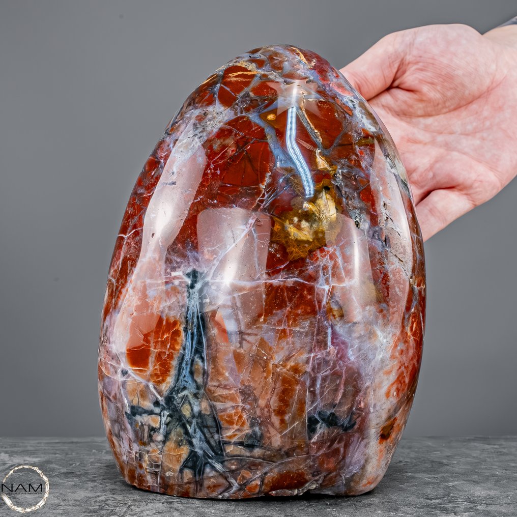 来自印度尼西亚的天然玛瑙染色木头 一块石头和火焰的时间胶囊- 2684.34 g #2.1