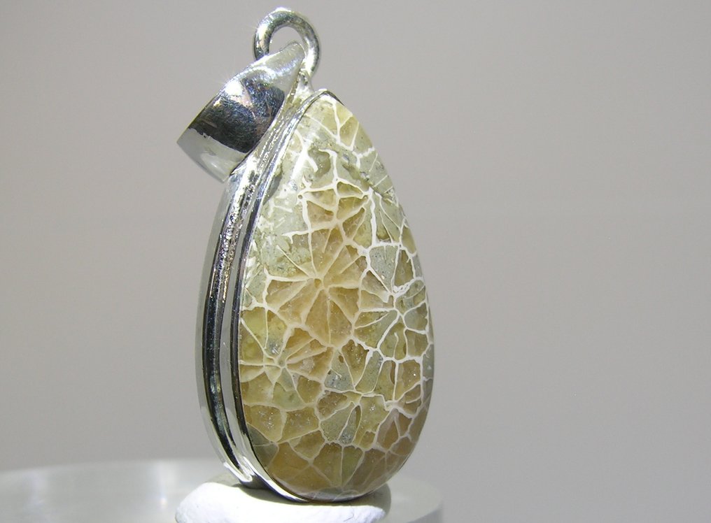 Dinosaur Bone Pendant - Height: 39 mm - Width: 16.8 mm- 4.4 g - (1) #2.1