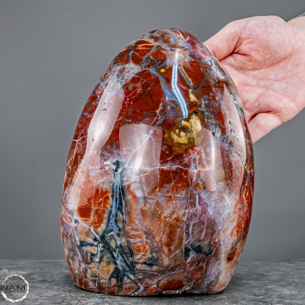 来自印度尼西亚的天然玛瑙染色木头 一块石头和火焰的时间胶囊- 2684.34 g #3.2