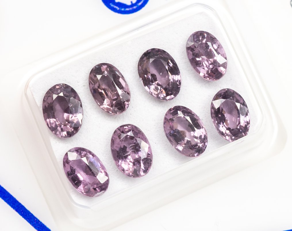 χωρίς τιμή ασφαλείας - 8 pcs Σπινέλιος - 4.54 ct - Antwerp Laboratory for Gemstone Testing (ALGT) - Ζωντανό/Βαθύ Μωβ-ροζ #1.0