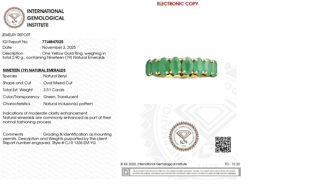 Bague d'éternité - 14 carats Or jaune -  3.51ct. tw. Émeraude - Émeraude #1.0