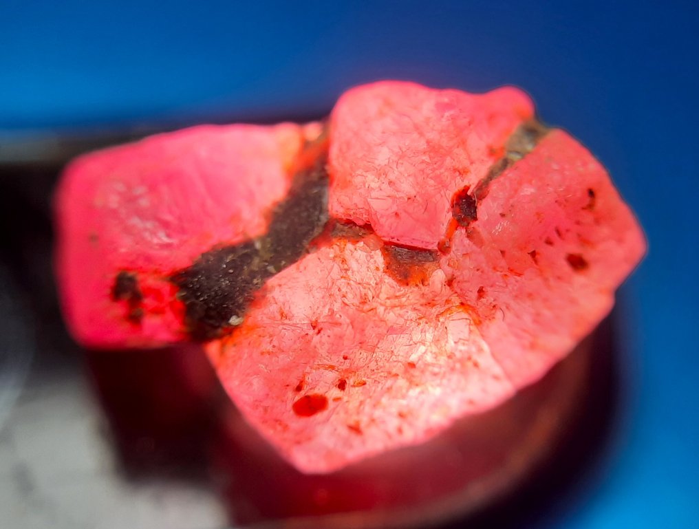 101 克拉 - 未处理的红宝石 粗糙- 20.2 g #2.1