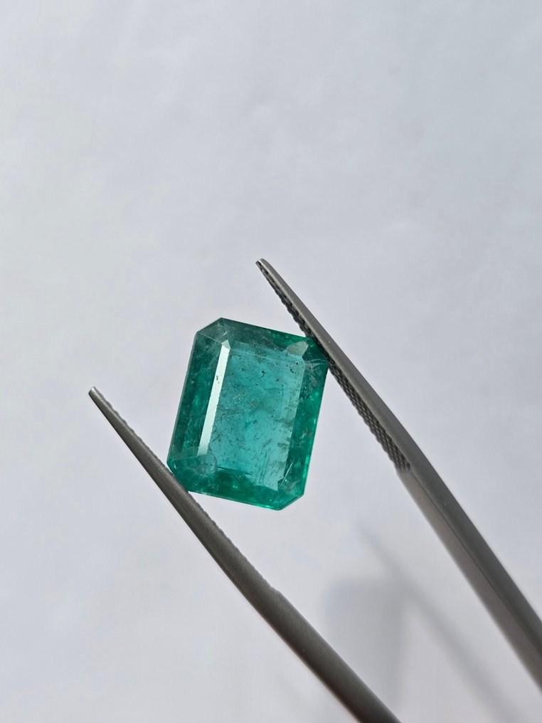Sans prix de réserve Vert Émeraude - 6.43 ct - Lotus Gemology (Thaïlande) - Vert intense - huile mineure #3.2