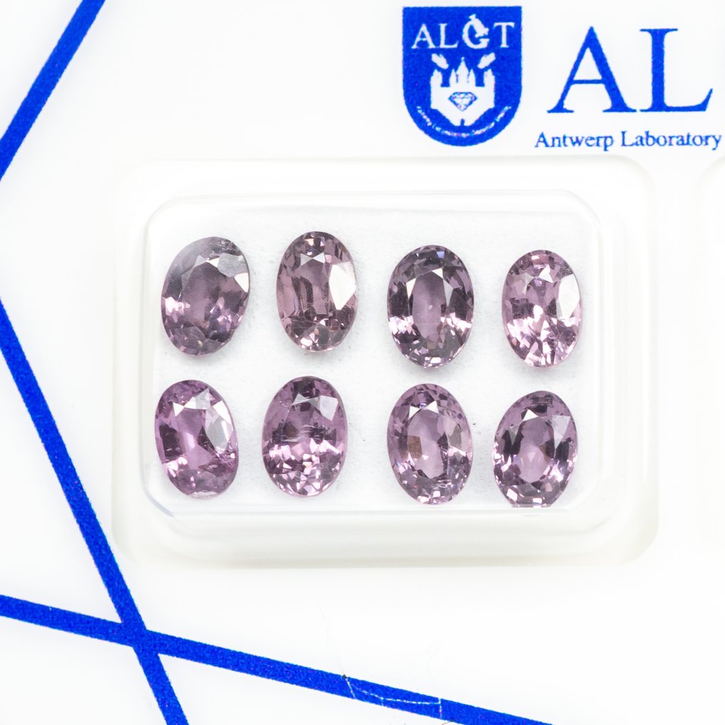 χωρίς τιμή ασφαλείας - 8 pcs Σπινέλιος - 4.54 ct - Antwerp Laboratory for Gemstone Testing (ALGT) - Ζωντανό/Βαθύ Μωβ-ροζ #1.0