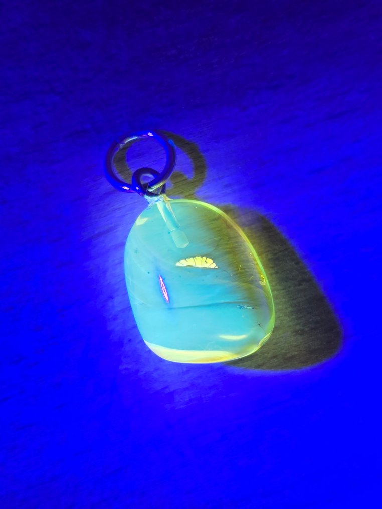 Εντυπωτικό Μενταγιόν από Βαλτική Βερμικίτη – Διατηρημένη Παρασιτική Σφήκα – Φυσική Τεχνική Πέτρας - Κεχριμπάρι  (χωρίς τιμή ασφαλείας) #3.2