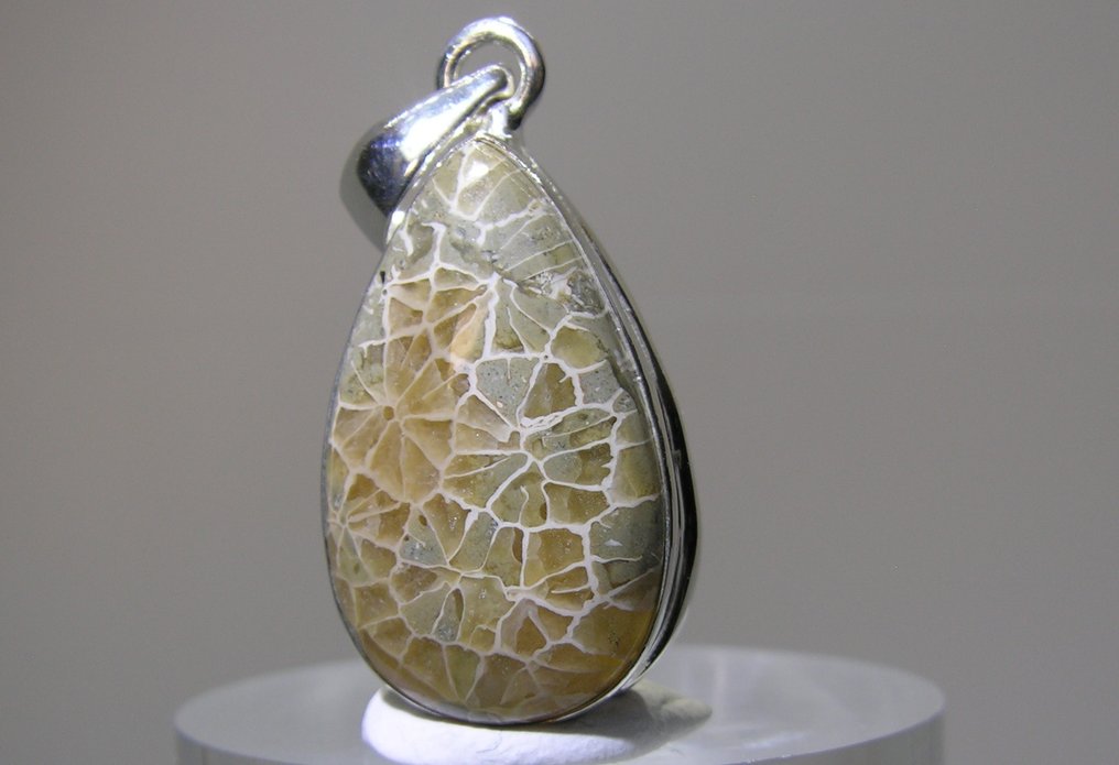 Dinosaur Bone Pendant - Height: 39 mm - Width: 16.8 mm- 4.4 g - (1) #1.0