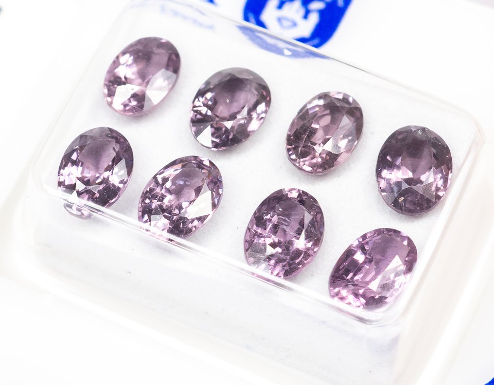 χωρίς τιμή ασφαλείας - 8 pcs Σπινέλιος - 4.54 ct - Antwerp Laboratory for Gemstone Testing (ALGT) - Ζωντανό/Βαθύ Μωβ-ροζ #2.1