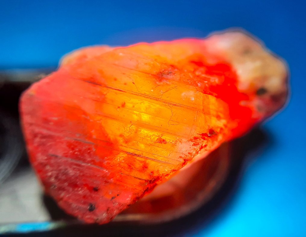 101 克拉 - 未处理的红宝石 粗糙- 20.2 g #3.2