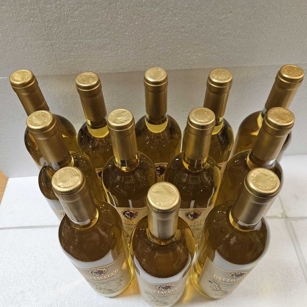 2024 Cantina Gattavecchi, Collepio - 托斯卡纳 IGT - 12 Bottles (0.75L) #4.3