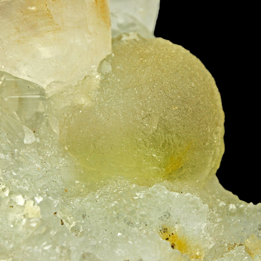 Gullig botryoidisk fluoritt på kvarts Krystaller - Højde: 3.6 cm - Bredde: 3 cm- 42 g #4.3