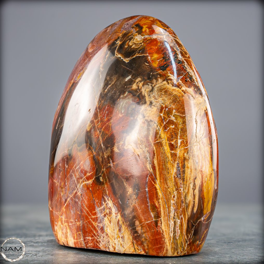 Natural Freeform av förstenad trä- 958.14 g #4.3