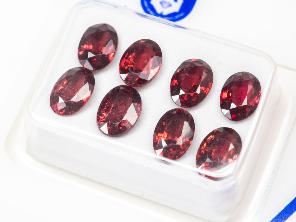 No reserve price - 8 pcs  Spinel  - 4.04 ct - Antwerp Laboratory for Gemstone Testing (ALGT) - Vivid/Deep orangy red #2.1