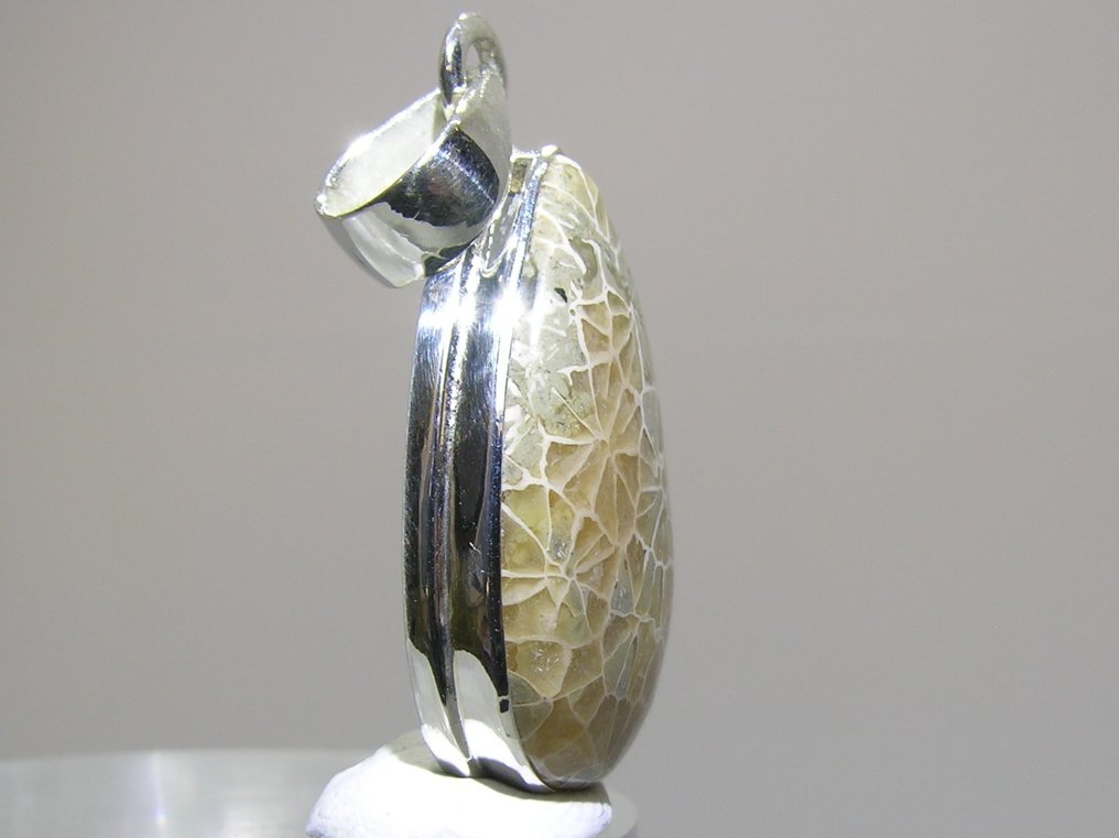 Dinosaur Bone Pendant - Height: 39 mm - Width: 16.8 mm- 4.4 g - (1) #4.3