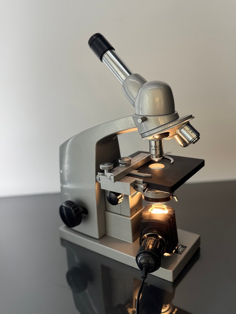 Binocular compound microscope - 349 413 - 1960-1970 - Itävalta - Reichert #1.0