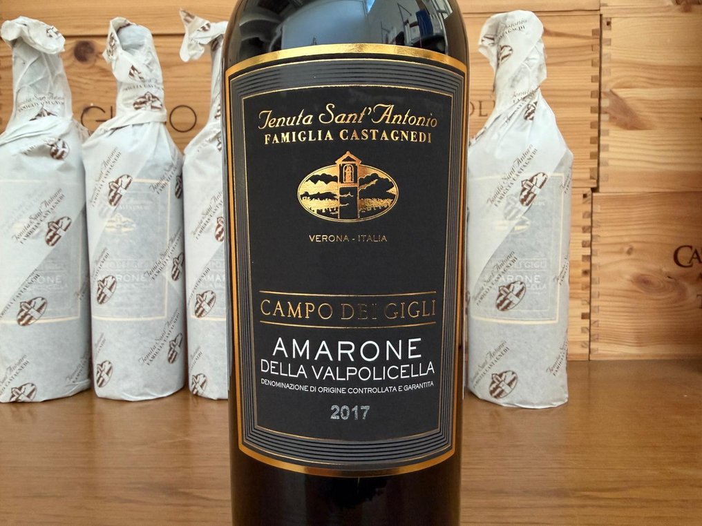 2017 Tenuta Sant'Antonio "Campo dei Gigli" - Amarone della Valpolicella - 6 Bottles (0.75L) #2.1