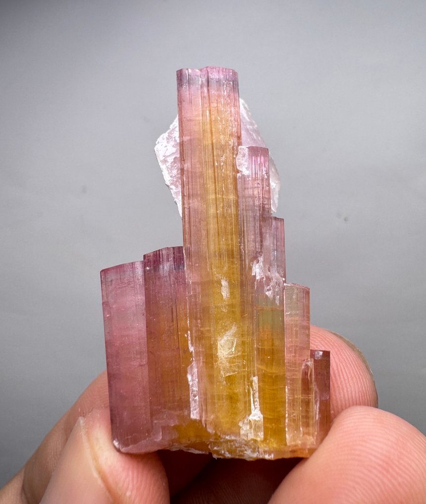 Extremely Rare! Pinkish & Blue Cap Tourmaline With Humbergite Crystals - Height: 45 mm - Width: 25 mm- 17 g - (1) #1.0